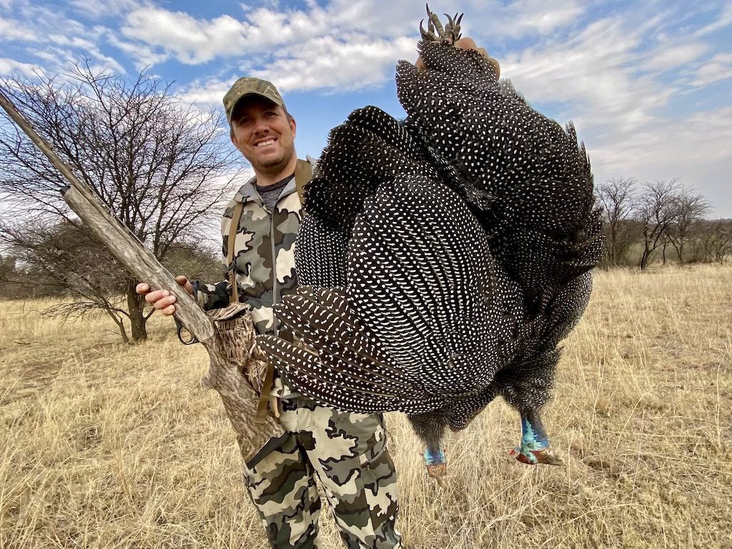 South Africa guineafowl Hunt