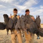 South Africa guineafowl Hunt