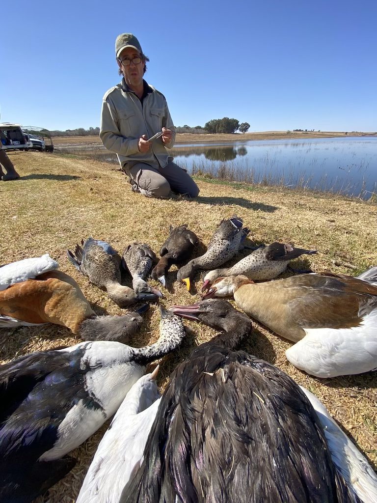 South Africa duck Hunt