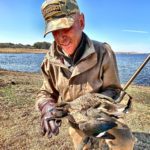 South Africa hottentot teal