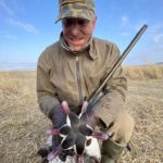 South Africa red billed teal