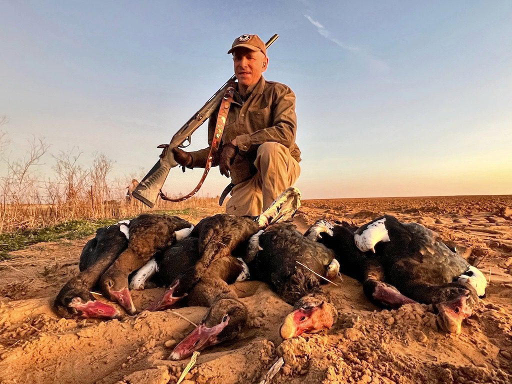 SPURWINGED GOOSE SOUTH AFRICA