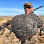 GUINEA FOWL SOUTH AFRICA