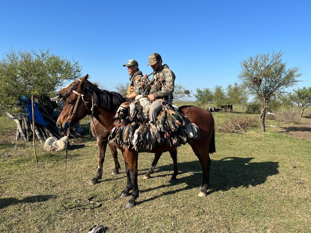 La Paz Argentina duck and dove hunt