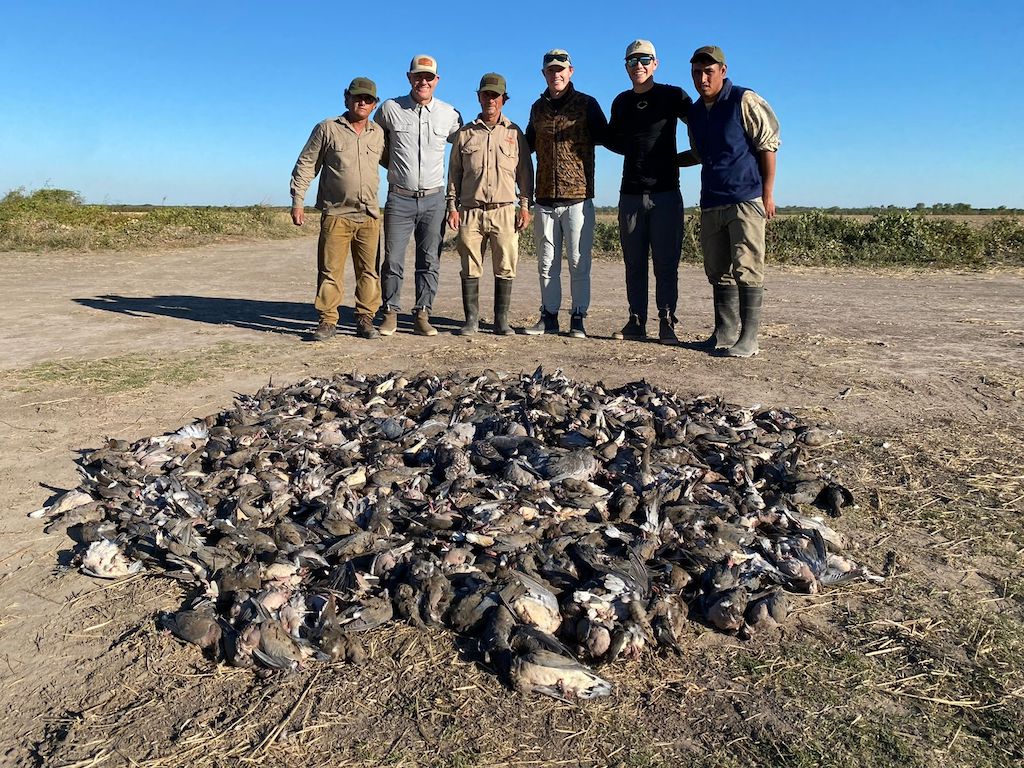 Bird Hunting in Argentina