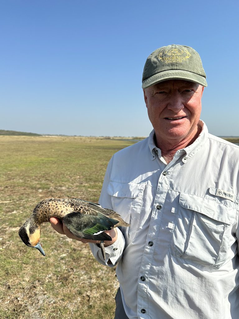 hottetot teal hunting South Africa