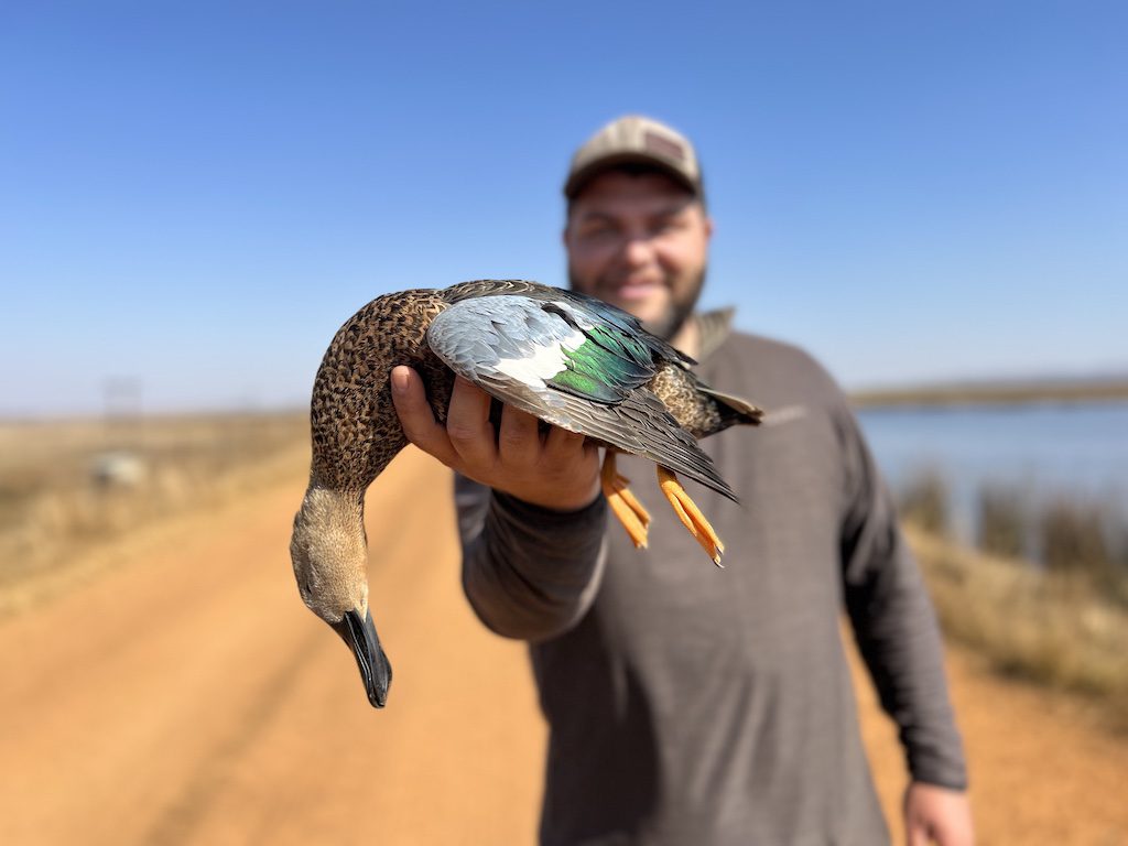 duck hunting in south africa