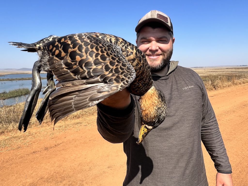 duck hunting in south africa