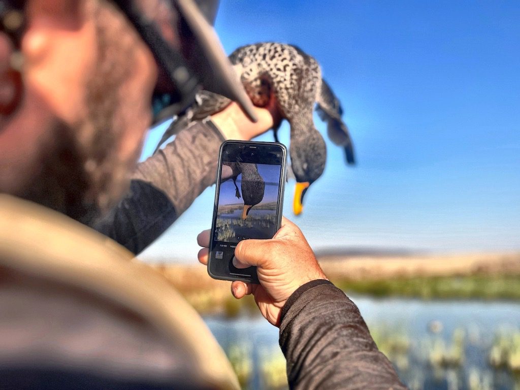 duck hunting in south africa
