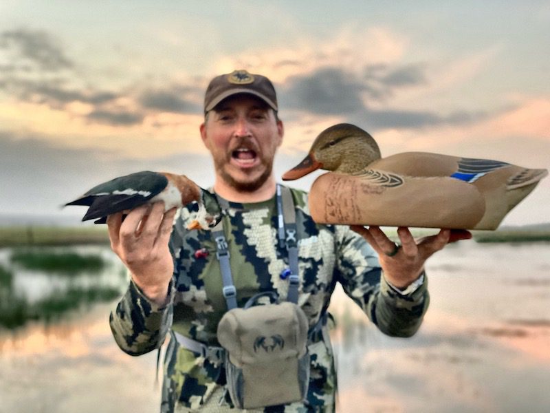 South Africa duck hunt pygmy goose