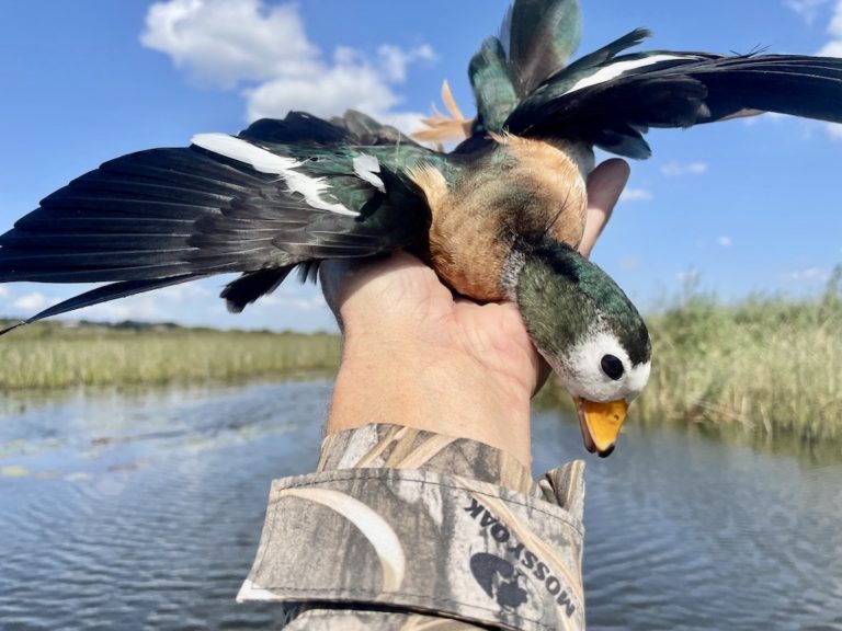 South Africa Duck Hunting Gamebird Hunt Best Hunts