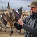 crested duck hunt in peru