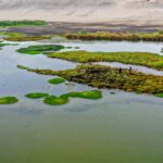 coastal peru duck hunt