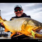 GOLDEN DORADO FISHING IN PARANA RIVER DELTA ARGENTINA