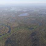 REMOTE DUCK HUNT IN PARANA RIVER DELTA ARGENTINA