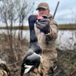 ARGENTINA DUCK HUNTING PARANA RIVER DELTA RAMSEY RUSSELL, ROSY-BILLED POCHARD