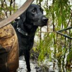 ARGENTINA DUCK HUNTS PARANA RIVER DELTA