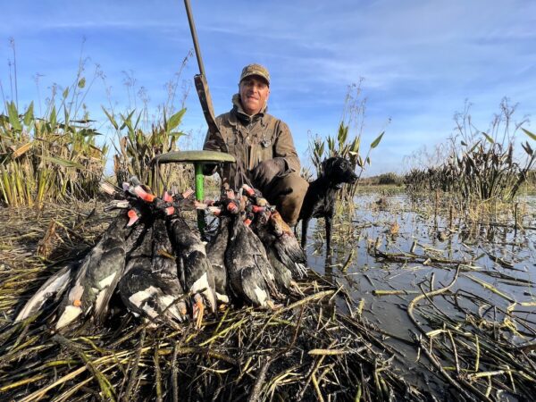 ARGENTINA DUCK HUNTS REMOTE PARANA RIVER DELTA