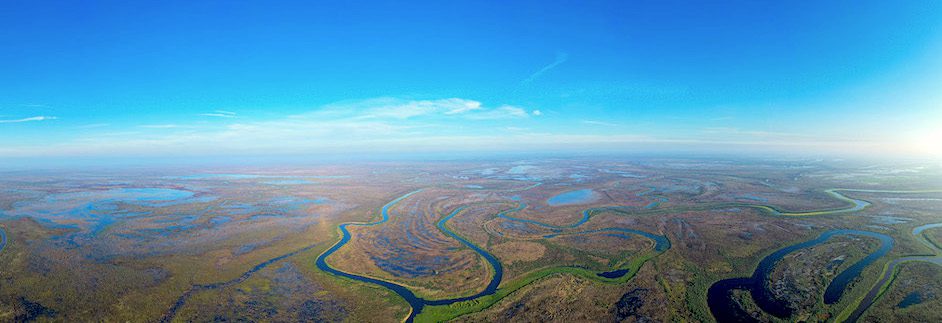 ARGENTINA DUCK HUNTS PARANA RIVER DELTA