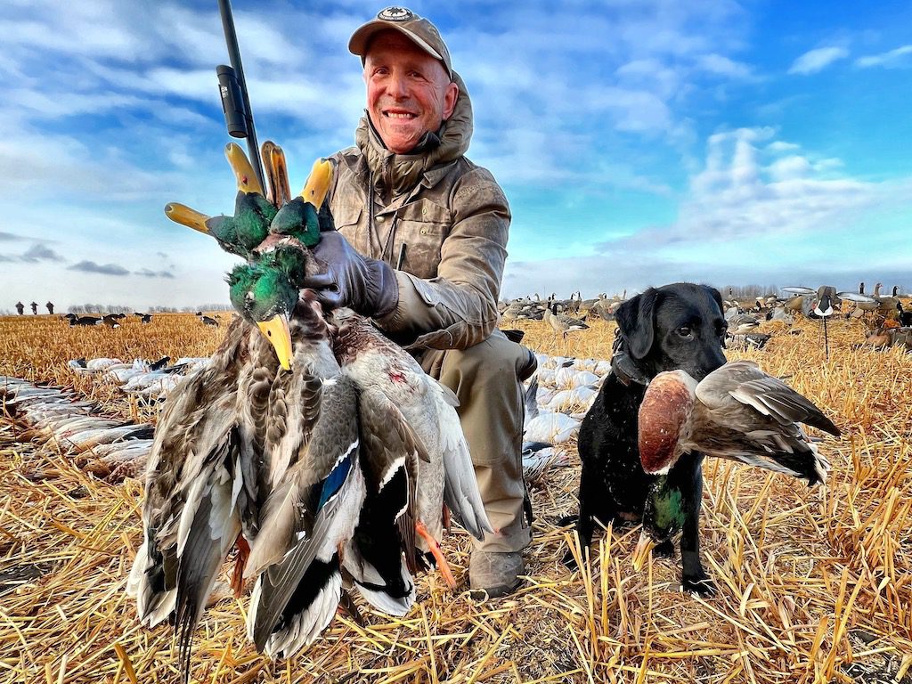 Alberta Canada duck Hunting
