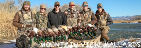 Wyoming Duck Hunt