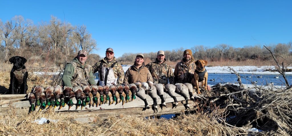 WYOMING DUCK HUNTS MONTANA