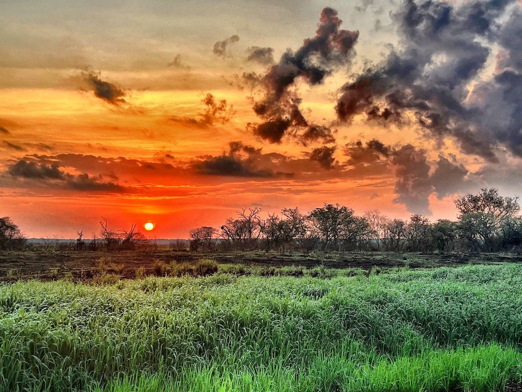 Northern Territory Australia Sunrise