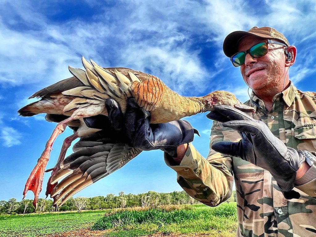 Plumed Whistling Duck