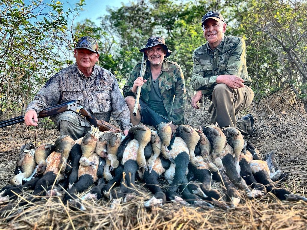 Plumed Whistling Ducks and Magpie Geese bag