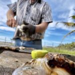 Fresh oysters served on beach during Narayrit Mexico duck hunting trip