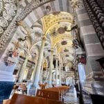 Best Mexico Duck Hunt Mazatlan Cathedral