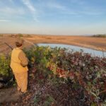 Best Mexico Duck Hunt Mazatlan