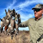 Best Mexico Blue Winged Teal Hunting Location