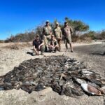 Best Mexico Duck Hunt Mazatlan