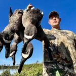 Mexico Blue Winged Teal Duck Hunts