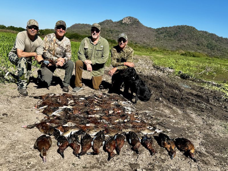 best cinnamon teal hunt Nayarit Mexico