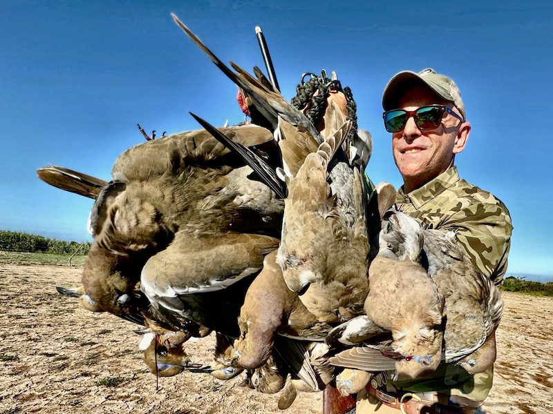 best white winged dove hunt in Nayarit Mexico