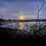 Nayarit Mexico duck hunt