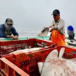 Nayarit Mexico duck hunt local culture