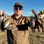 white winged dove hunt Nayarit Mexico