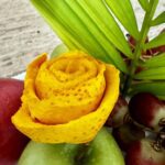 Best Mexico Duck Hunt Mazatlan Resort