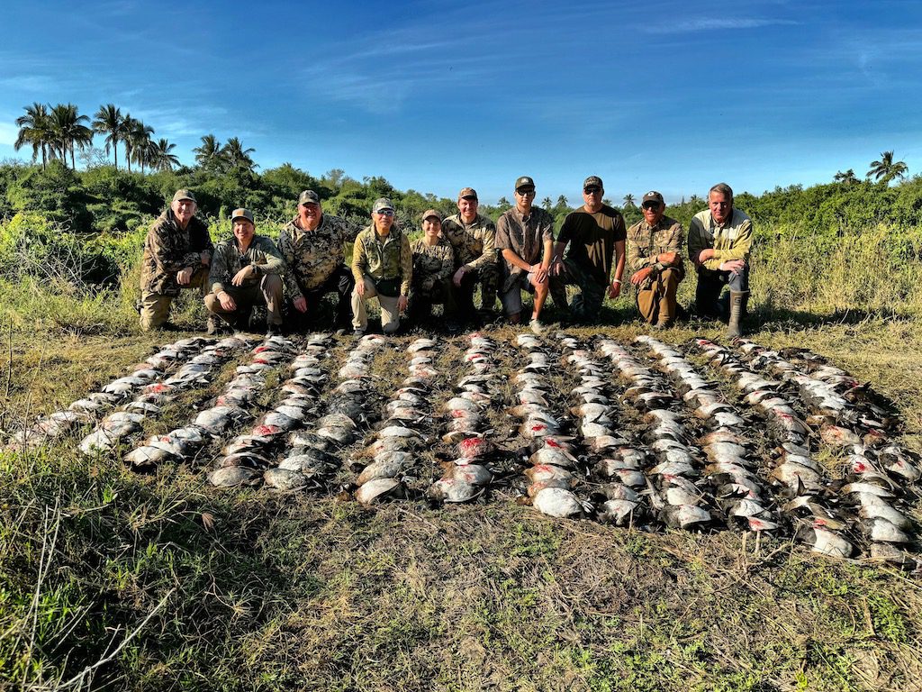 Best Mexico Bluebill Hunt in Mazatlan