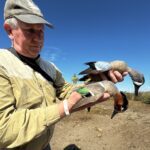 Best Mexico Teal Hunt Mazatlan