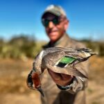 Best Mexico Green-winged Teal Duck Hunt Mazatlan