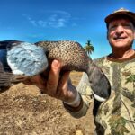 Best Mexico Blue-winged Teal Duck Hunt Mazatlan