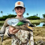 blue winged teal Nayarit Mexico duck hunting