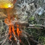 duck hunting in Nayarit Mexico