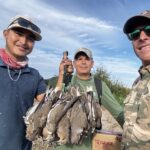 dove hunting in Nayarit Mexico