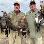 cinnamon duck hunting in Nayarit Mexico