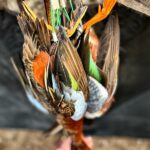 duck hunts in Nayarit Mexico